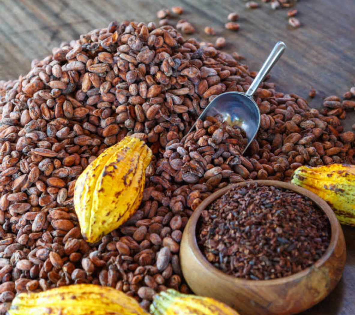 TarCasso erklärt die Wirkung von Flavonoiden in Kakao und dunkler Schokolade